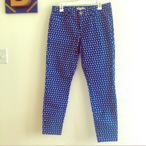 Banana Republic Patterned Skinny Jeans